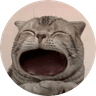 maow
