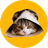 MARU