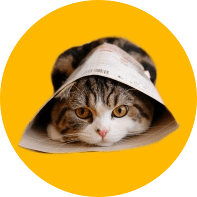 Maru the cat logo