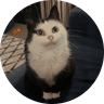 Mau Mau 