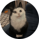Mau Mau 