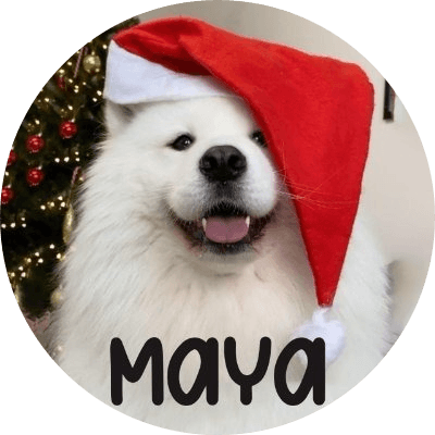 Maya logo