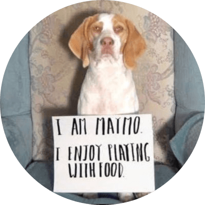 Maymo the lemon beagle logo