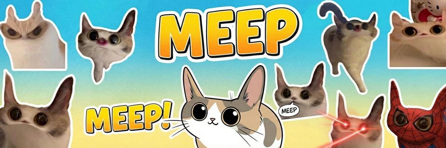MEEP CAT banner