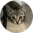 MELO