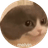 Melvin