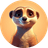 MKAT