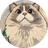 MCow