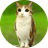 meowl