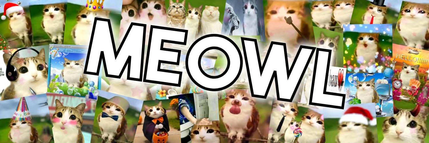 meowl the owl cat banner