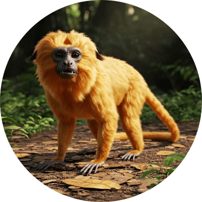 micocoinmeme logo