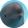 Miharu The Smiling Dolphin