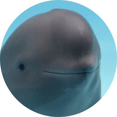 Miharu The Smiling Dolphin logo