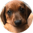 milly