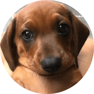 milly logo
