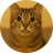 MING