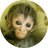 Mirabel