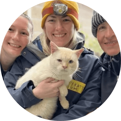 miracle cat logo