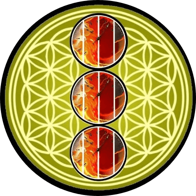Miracles logo