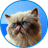 MIGGLES