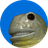 Moistcoin
