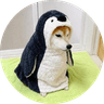 ももちゃん