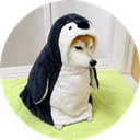 ももちゃん