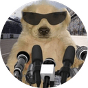 Money Dog