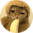 MONGY