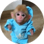 monke