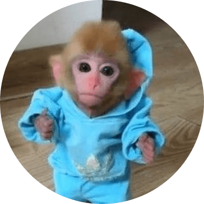 monke logo