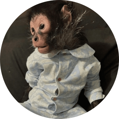 MONKEY TAKEN BY POLICE logo