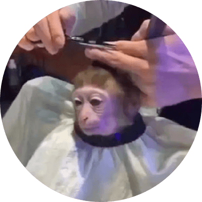 monkeyhaircut logo