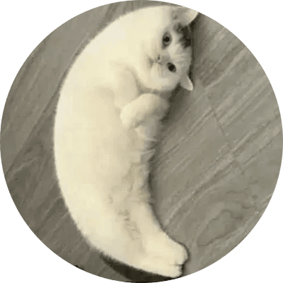 Mooncat logo