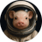 moonpig