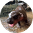 MOOYOR