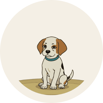 Moppy Army logo