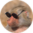 MEME