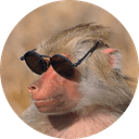 MOST ELEGANT MONKEY EVER