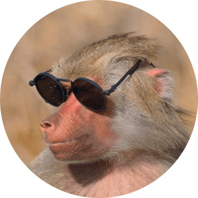 MOST ELEGANT MONKEY EVER logo