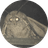 Moth