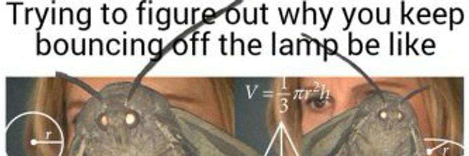 Moth banner