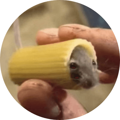 mouse in pasta logo