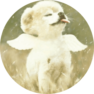Mr. Winkle logo