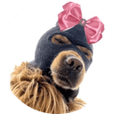 Mrs Ski Mask Dog