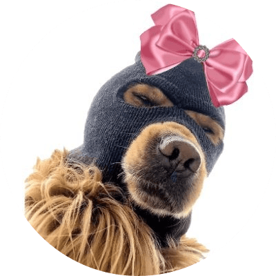 Mrs Ski Mask Dog logo