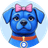 MRSD