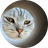 MUNCAT