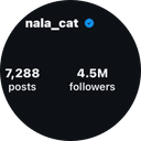 nala the record holder cat 