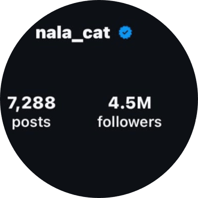nala the record holder cat  logo